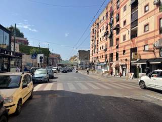 Zona