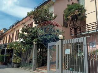 Zona