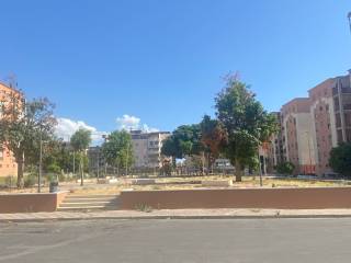 Zona