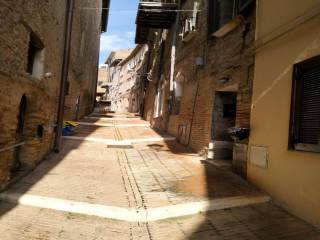 Zona