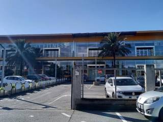 Zona