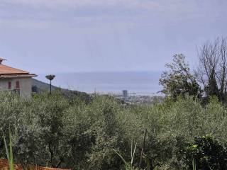 Vista