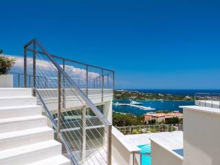 Vista