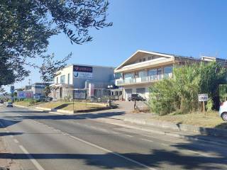 Zona
