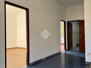 Ingresso