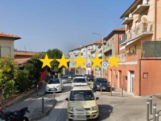 Zona
