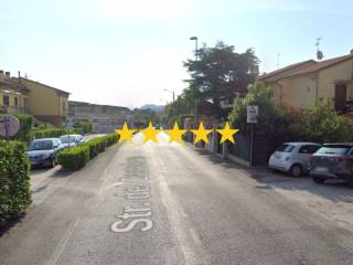 Zona