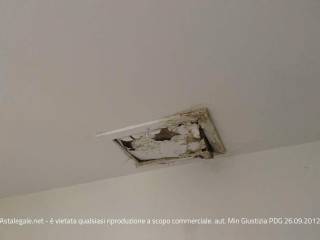 Altro