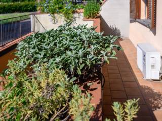 Terrazzo