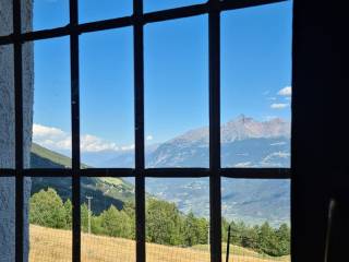 Vista