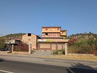 Zona