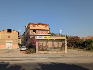 Zona
