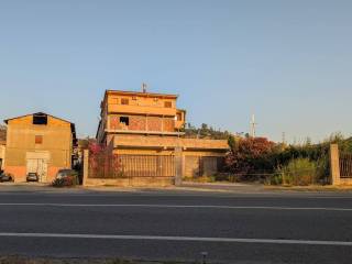 Zona