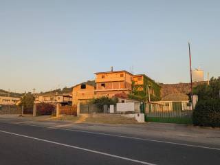 Zona