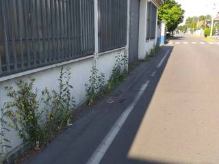 Zona