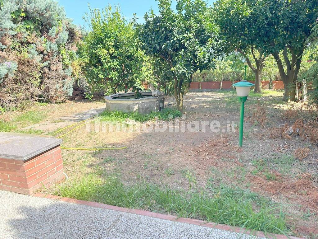 Giardino