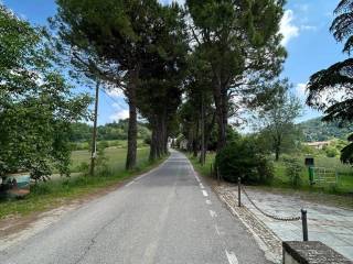 Zona