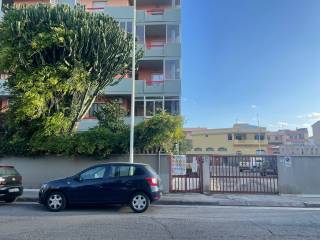 Zona
