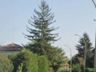 Zona