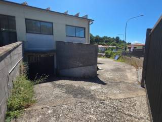 Ingresso