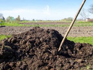 Terreno