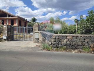 Zona