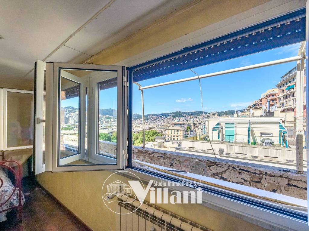 Vista