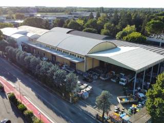 Vista
