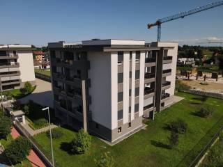 Vista