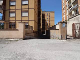 Zona