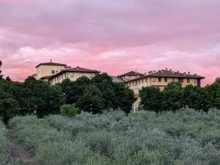 Vista