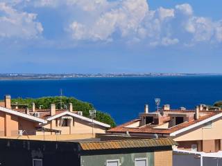 Vista