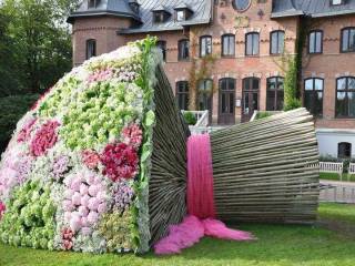 Zona
