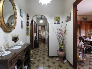 Ingresso