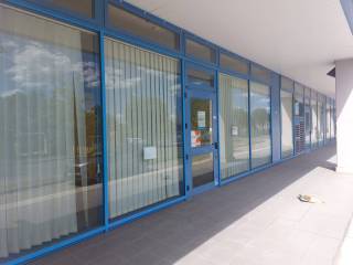 Ingresso