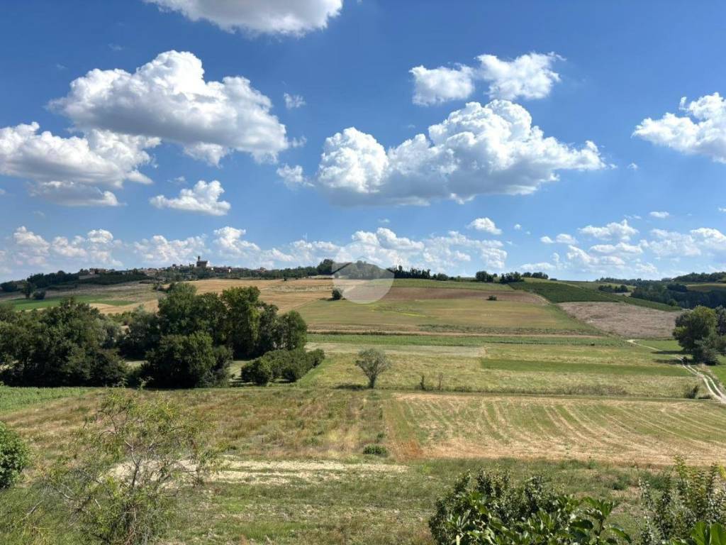 Vista