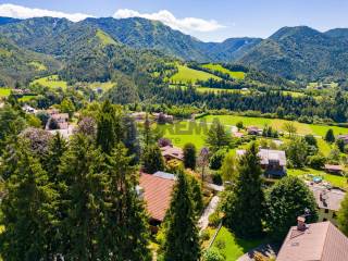 Vista