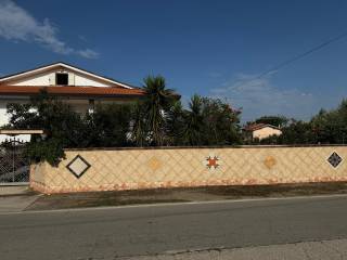 Zona