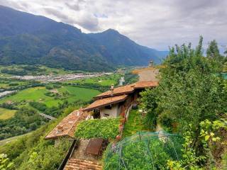 Vista