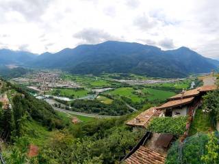 Vista