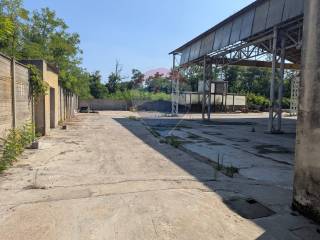 Zona
