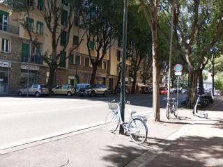 Zona