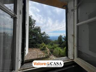 Vista