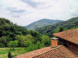 Vista