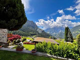 Vista