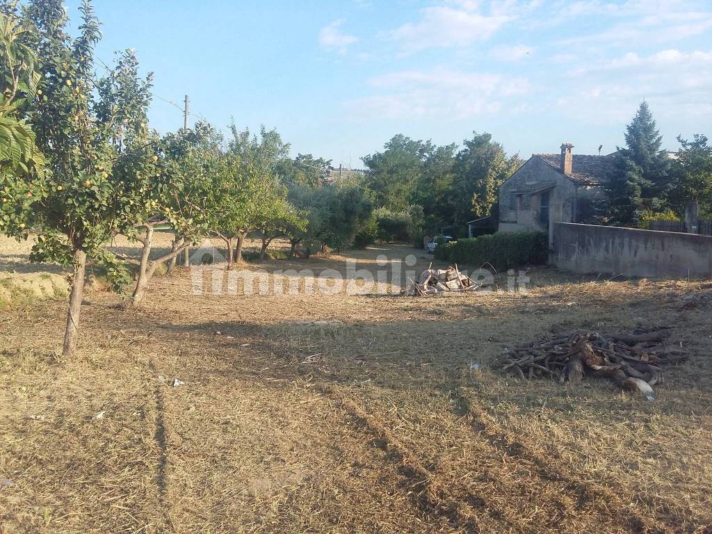 Sale Country house in via Padova 36 Morro d'Oro. Good condition ...