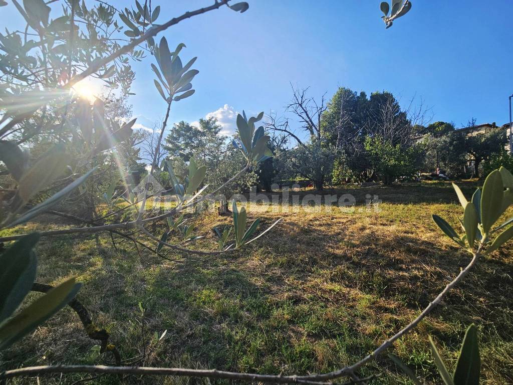 Terreno