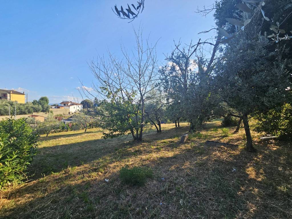 Terreno