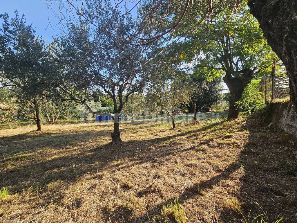 Terreno