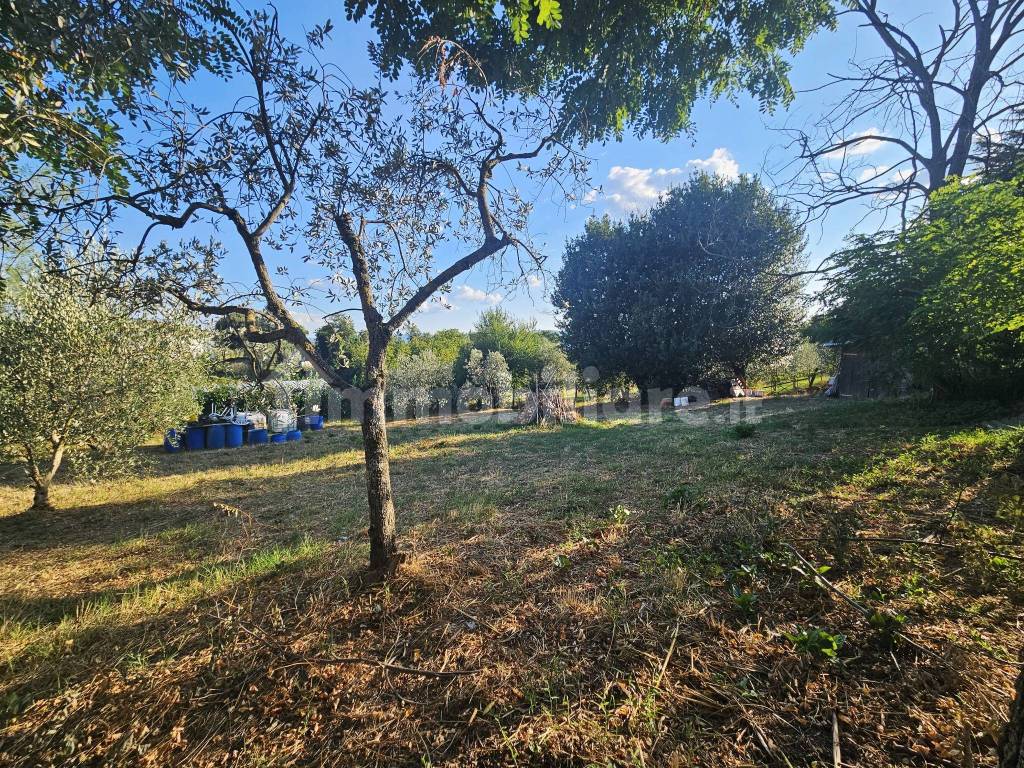 Terreno
